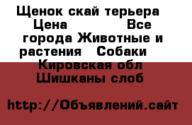 Щенок скай терьера › Цена ­ 20 000 - Все города Животные и растения » Собаки   . Кировская обл.,Шишканы слоб.